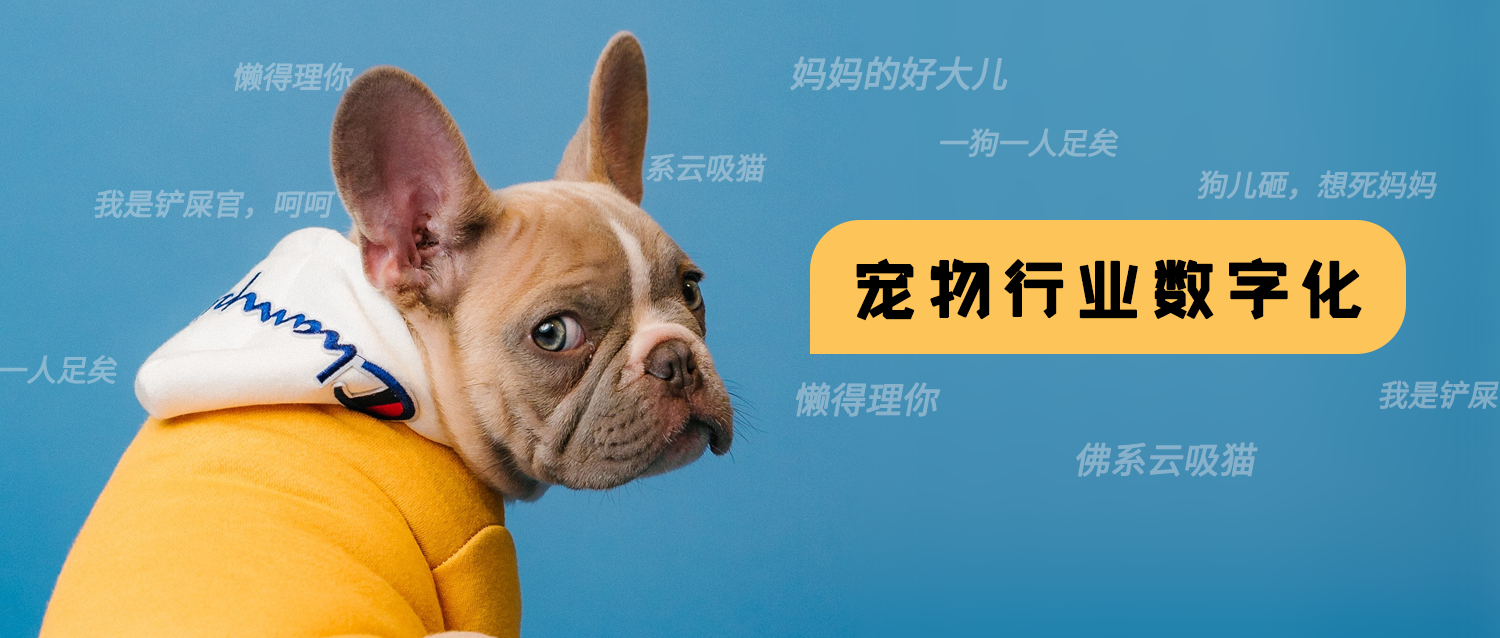 犀牛云解决方案：打造宠物生态产业链，实现企业数字化经营.png